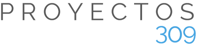 Proyectos 309